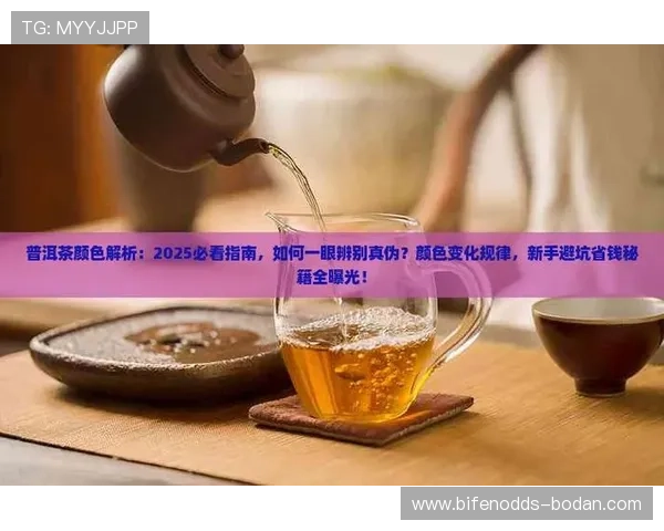 让球盘规则品牌入口下载评测防骗避坑指南